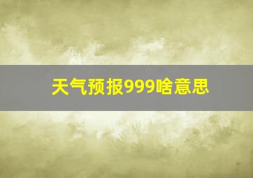 天气预报999啥意思