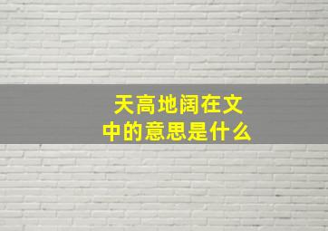 天高地阔在文中的意思是什么