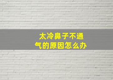 太冷鼻子不通气的原因怎么办