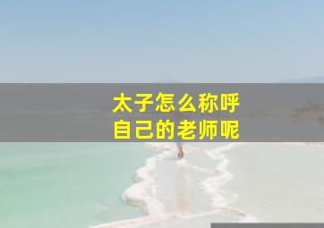 太子怎么称呼自己的老师呢