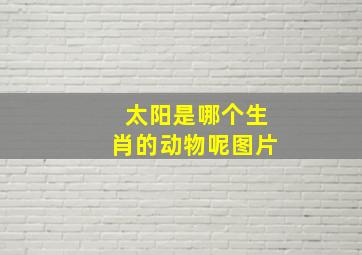 太阳是哪个生肖的动物呢图片