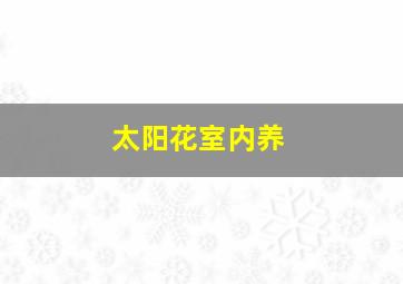 太阳花室内养