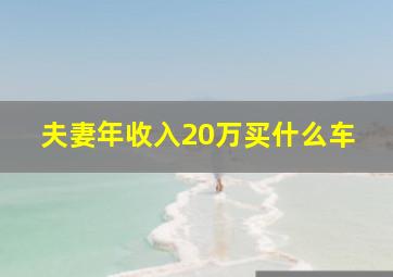 夫妻年收入20万买什么车