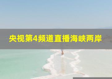 央视第4频道直播海峡两岸