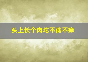 头上长个肉坨不痛不痒