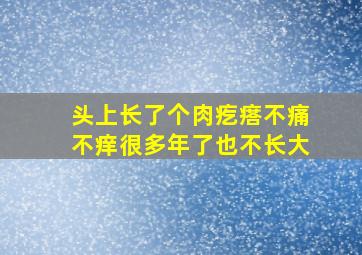 头上长了个肉疙瘩不痛不痒很多年了也不长大