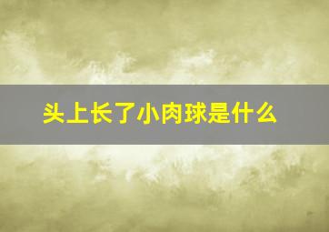 头上长了小肉球是什么