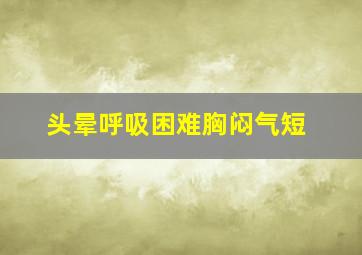 头晕呼吸困难胸闷气短