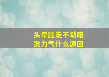 头晕腿走不动路没力气什么原因