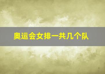 奥运会女排一共几个队