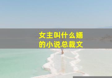 女主叫什么婳的小说总裁文