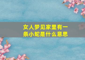 女人梦见家里有一条小蛇是什么意思