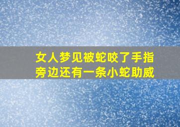 女人梦见被蛇咬了手指旁边还有一条小蛇助威