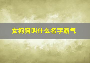 女狗狗叫什么名字霸气