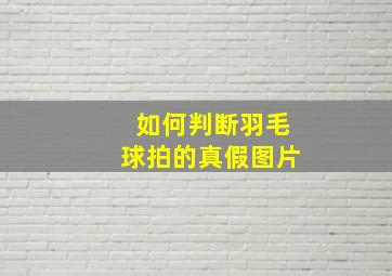 如何判断羽毛球拍的真假图片