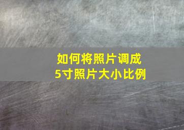 如何将照片调成5寸照片大小比例