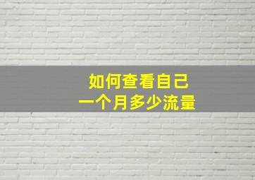 如何查看自己一个月多少流量