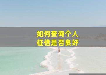 如何查询个人征信是否良好