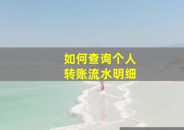 如何查询个人转账流水明细