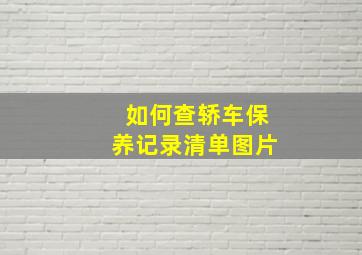 如何查轿车保养记录清单图片