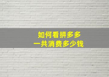 如何看拼多多一共消费多少钱