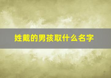 姓戴的男孩取什么名字