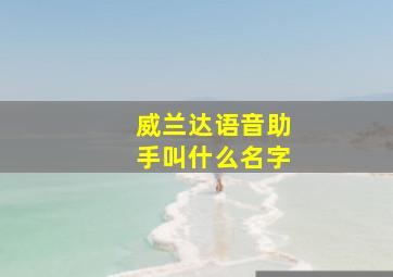 威兰达语音助手叫什么名字