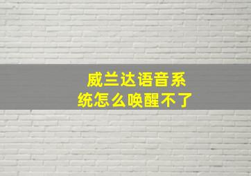 威兰达语音系统怎么唤醒不了