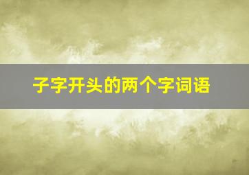 子字开头的两个字词语