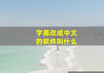 字幕改成中文的软件叫什么