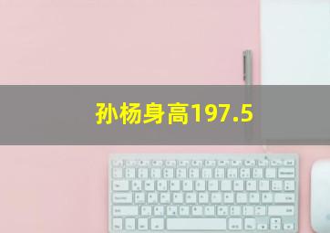 孙杨身高197.5