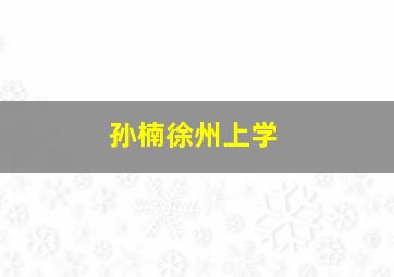 孙楠徐州上学