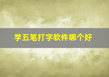 学五笔打字软件哪个好