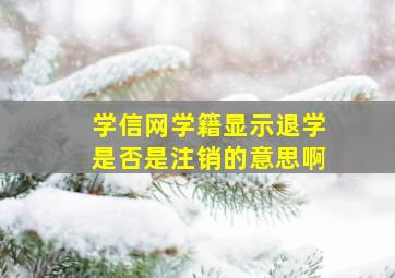 学信网学籍显示退学是否是注销的意思啊