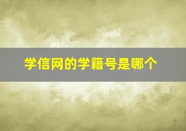 学信网的学籍号是哪个