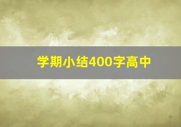 学期小结400字高中