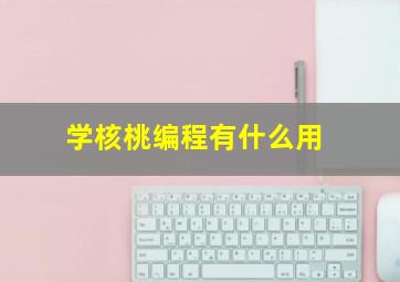 学核桃编程有什么用