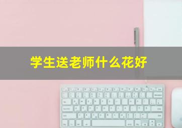 学生送老师什么花好