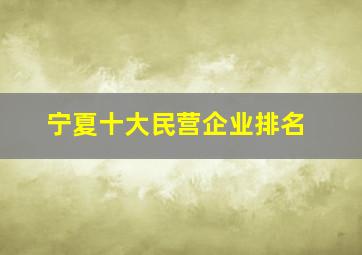 宁夏十大民营企业排名