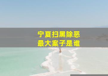 宁夏扫黑除恶最大案子是谁