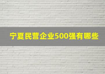 宁夏民营企业500强有哪些