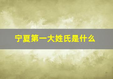 宁夏第一大姓氏是什么