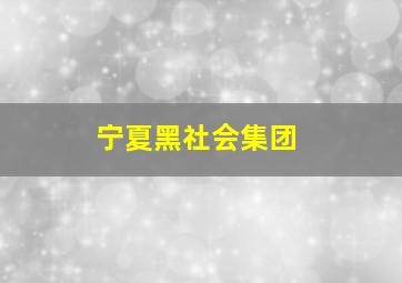 宁夏黑社会集团