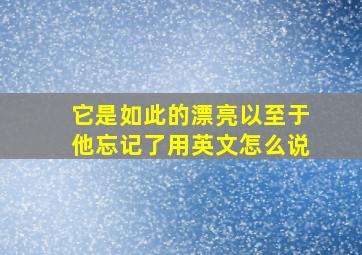 它是如此的漂亮以至于他忘记了用英文怎么说