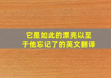 它是如此的漂亮以至于他忘记了的英文翻译