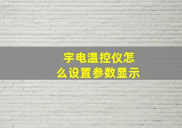 宇电温控仪怎么设置参数显示