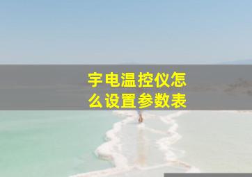 宇电温控仪怎么设置参数表