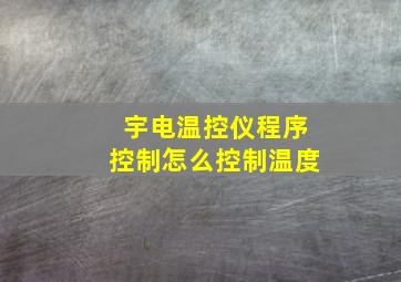 宇电温控仪程序控制怎么控制温度