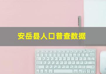 安岳县人口普查数据