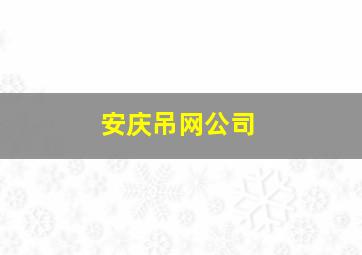 安庆吊网公司